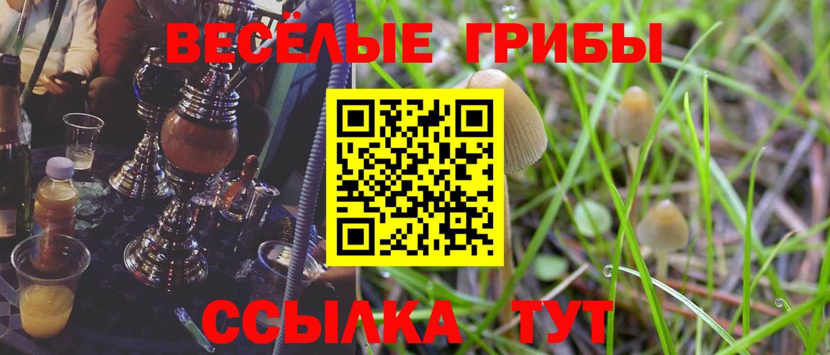 Галлюциногенные грибы мицелий  как найти закладки  Калининград  Вход с VPN  Галлюциногенные грибы Magic Shrooms 